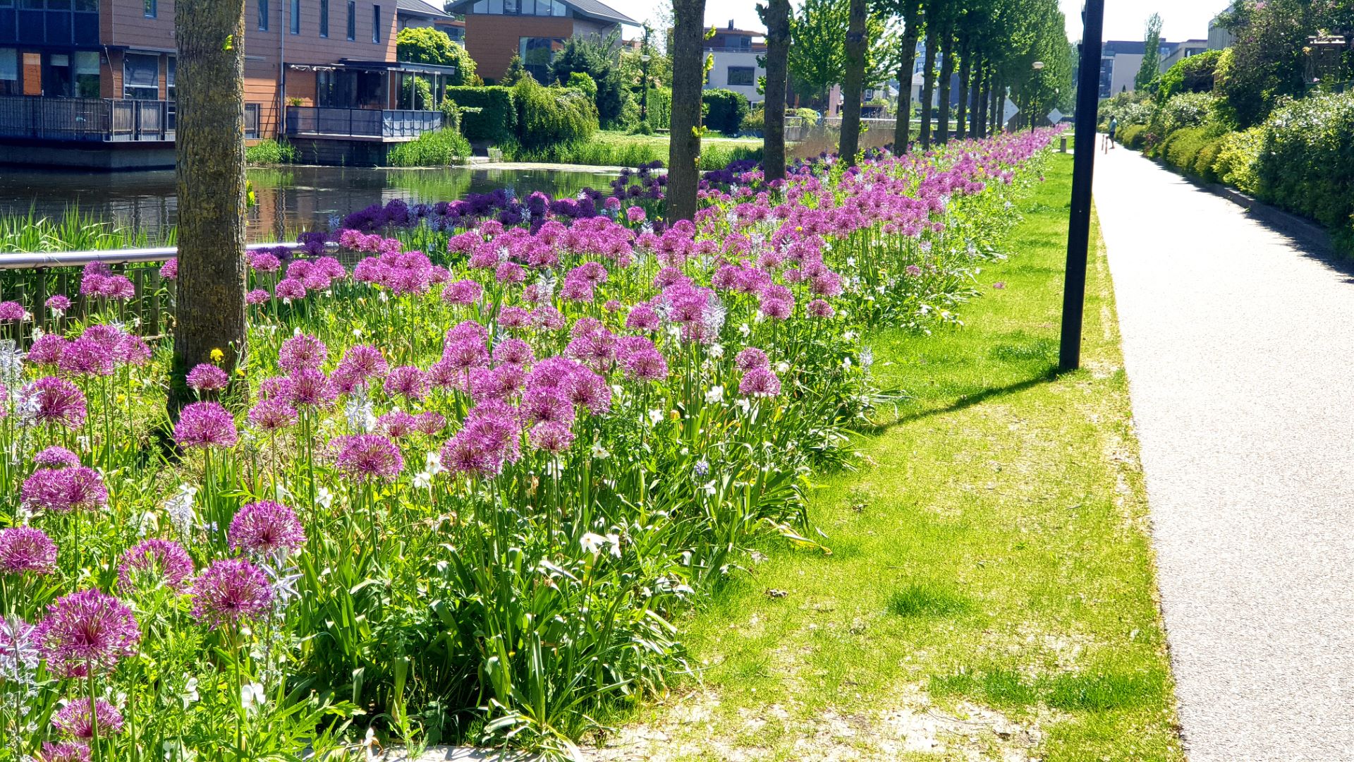 Green-Cities-Europe-2022-The-Netherlands-award-6