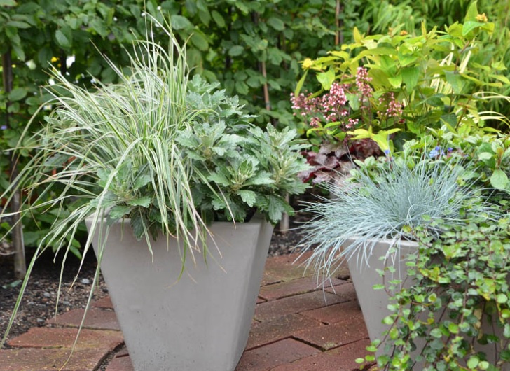 Bild från Mäster Grön