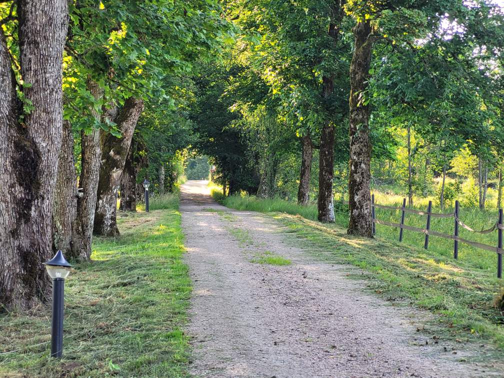 Ringestena midsommar