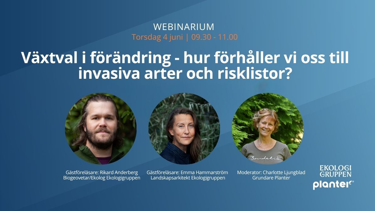 Webinar - Växtval i förändring – hur förhåller vi oss till invasiva arter och risklistor?